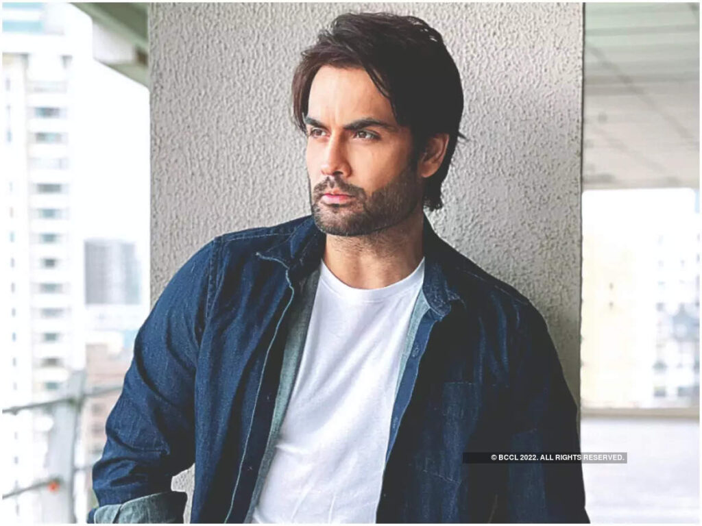 Social Media or TV? Vivian Dsena choses one over the other