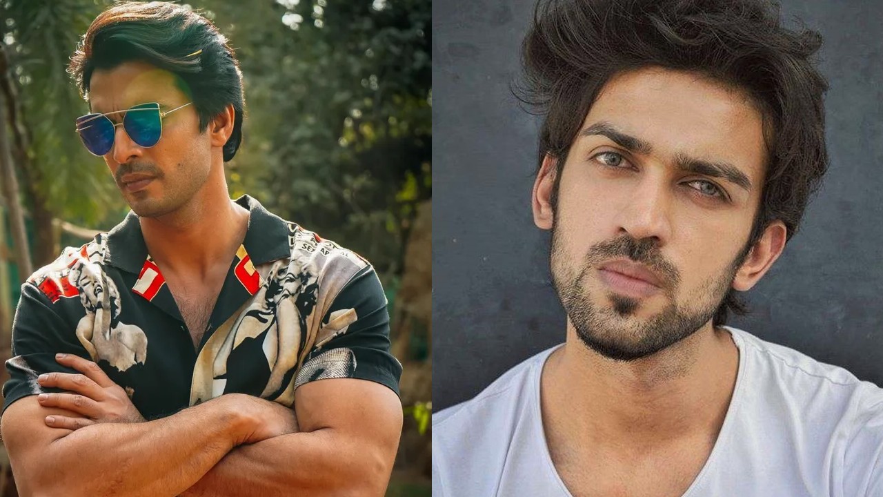 Manasvi Vashist on replacing Gashmeer in 'Imlie'; says, "I am trying my best to live up to the expectations" - Telly Updates