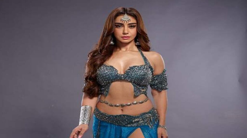Naagin 6: Mahekk Chahal to make a re-entry in the show after two months