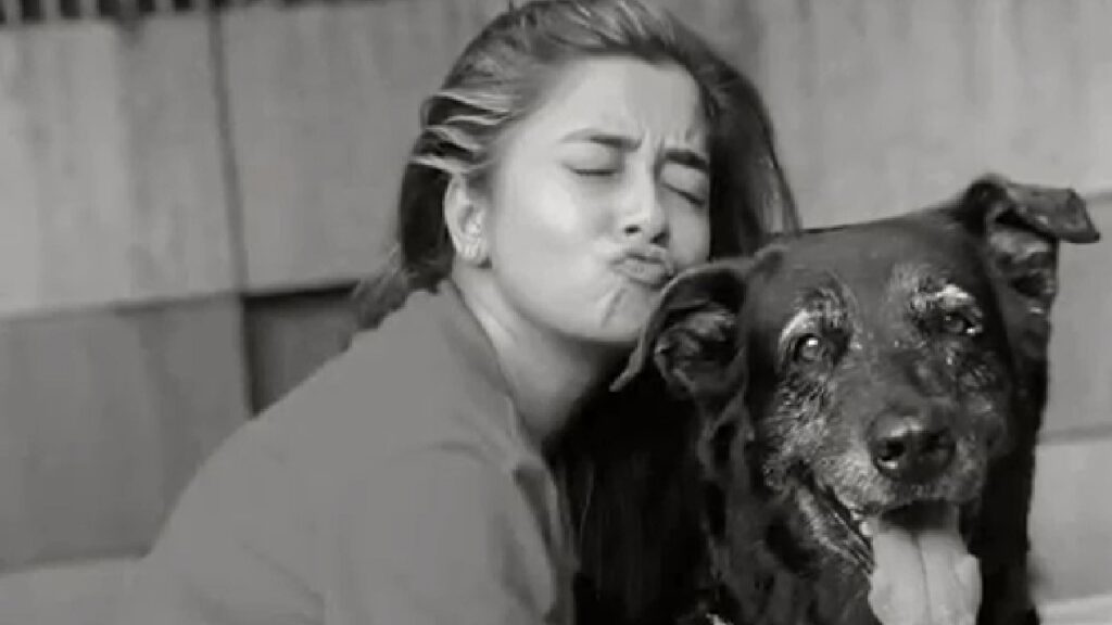 Mujhe maaf karo yaar abhi mujhe koi nahi chahiye life mein; says Bigg Boss 16 fame Tina Datta