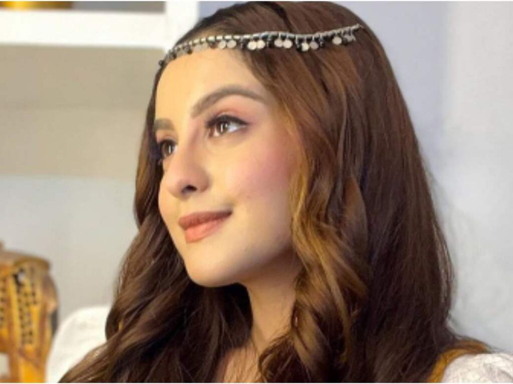 Tunisha Sharma and Sheezan Khan had a heated argument, CCTV footage found