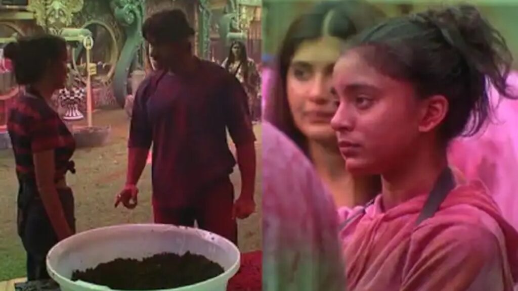 Bigg Boss 16: Priyanka Chahar Choudhary joins hands with Shalin Bhanot to team up against Sumbul Touqeer