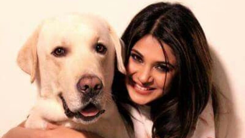 Jennifer Winget bids an emotional farewell to her dog Breezer; says, “The love he gave me is how God loves us”