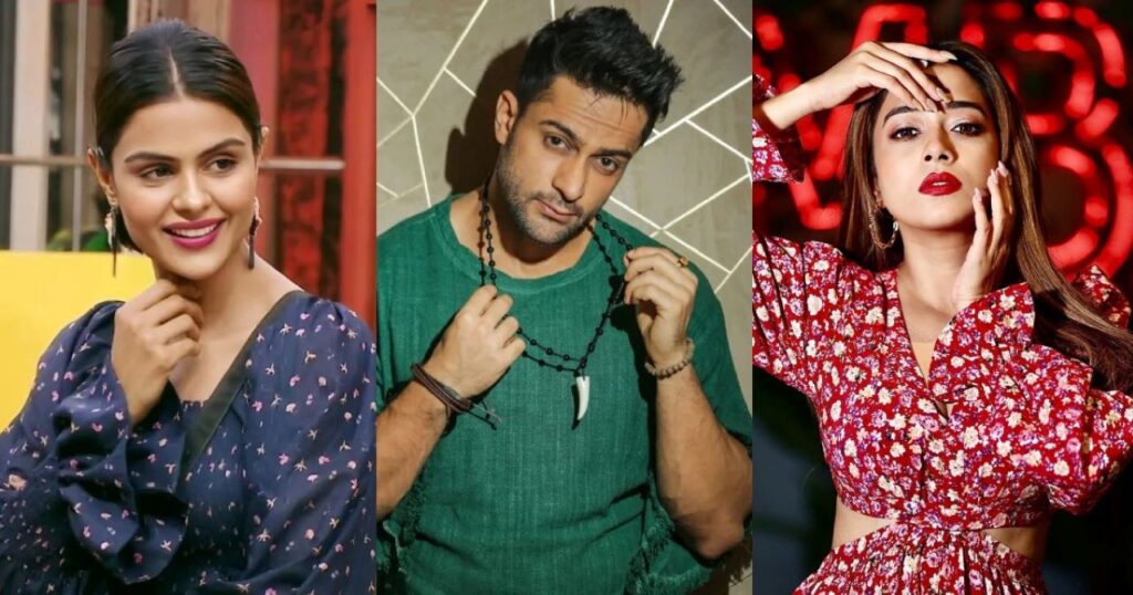 Bigg Boss 16: Priyanka Chahar Choudhary hints at Tina Datta already having a boyfriend; Shalin Bhanot confirms saying, “she said I’m going straight to my monkey”