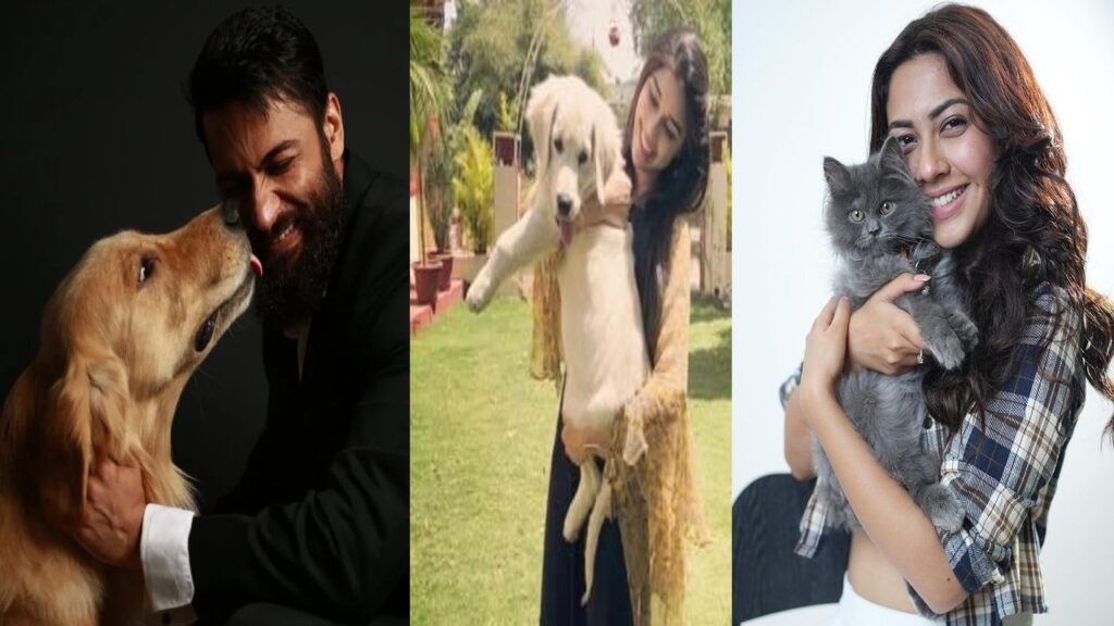 Celebs including Shalin Bhanot, Eisha Singh, and Reem Shaikh on celebrating Pets Day with their furry friends