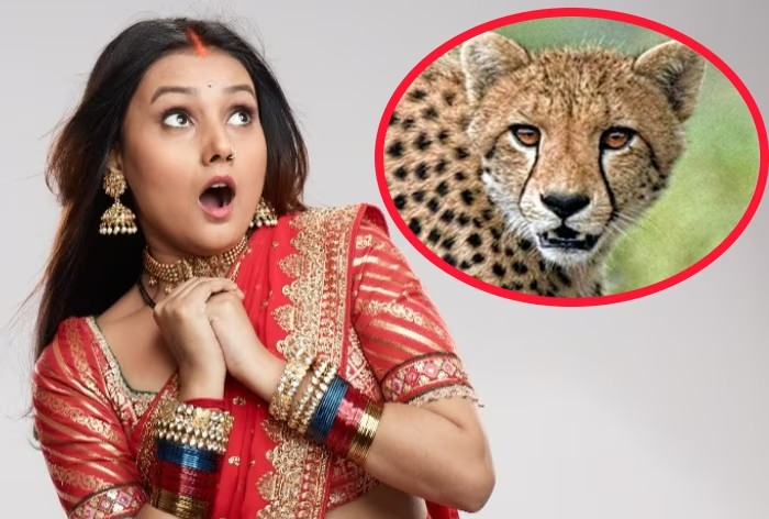 Cheetah pays a visit to the sets of Meri Saas Bhoot Hai