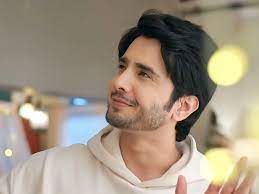 Zaan Khan to be seen in Meri Saas Bhoot Hai opposite Kajal Chauhan