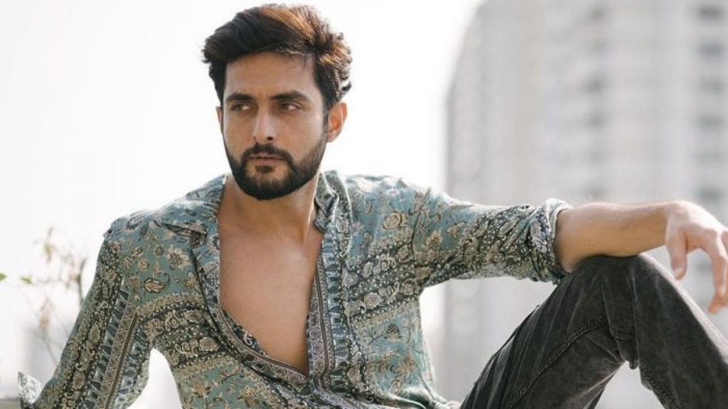Actor Aadil Khan Reveals Offer Declines from Temptation Island India & Jhalak Dikhhla Jaa, Aims for TV Debut as Lead Hero