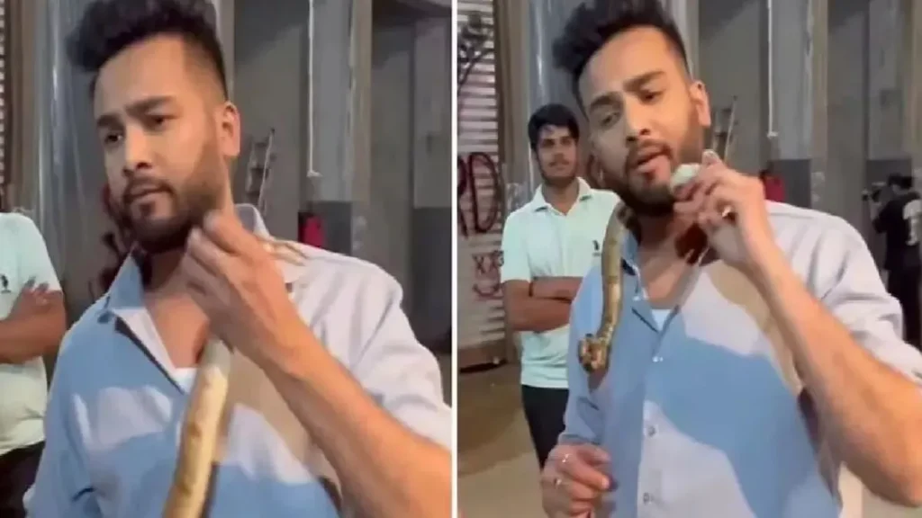 Punjab and Haryana High Court Orders Police Protection for Activists in Elvish Yadav’s Snake Venom Case